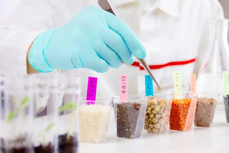 Nanotecnologia y alimentación