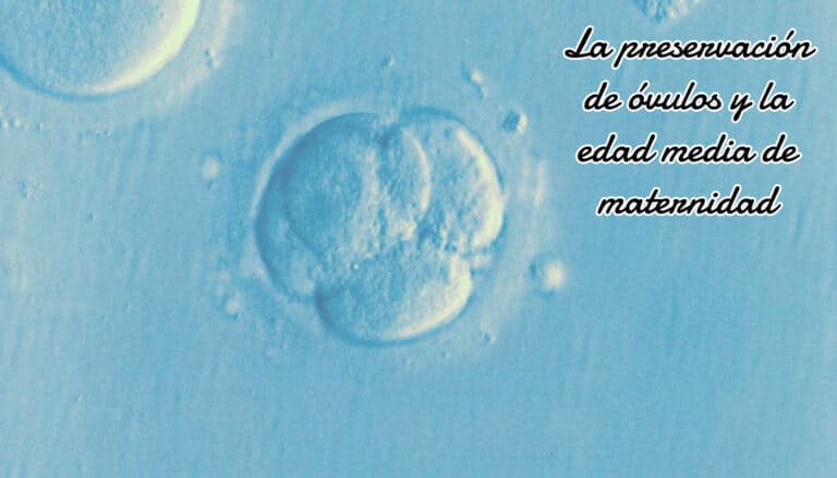 La preservación de óvulos y la edad media de maternidad