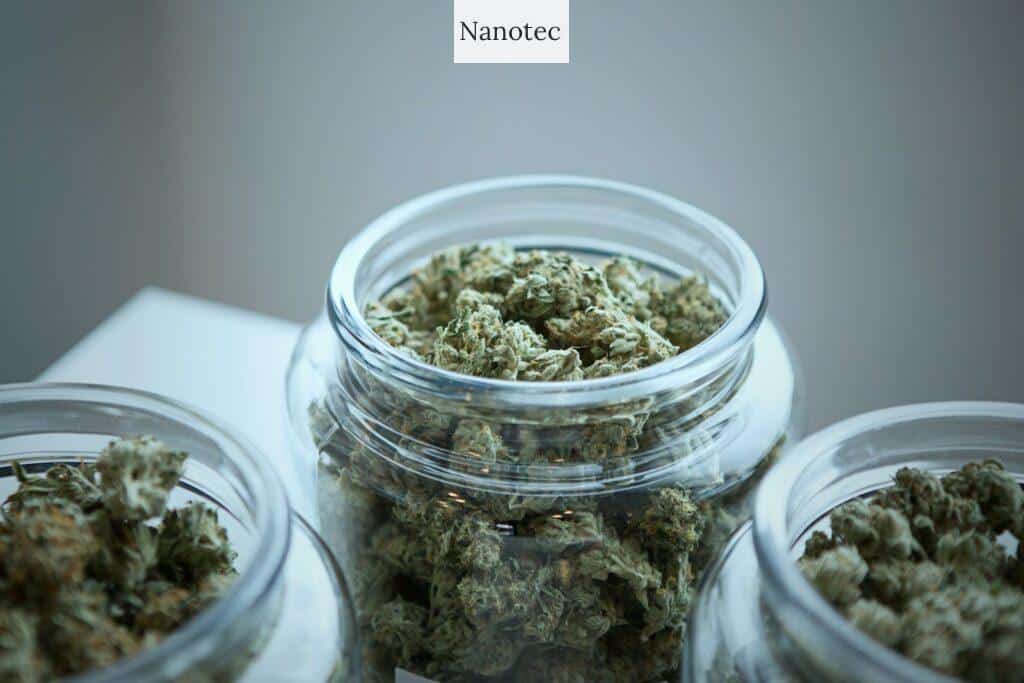 ecommerce para comprar CBD en Portugal