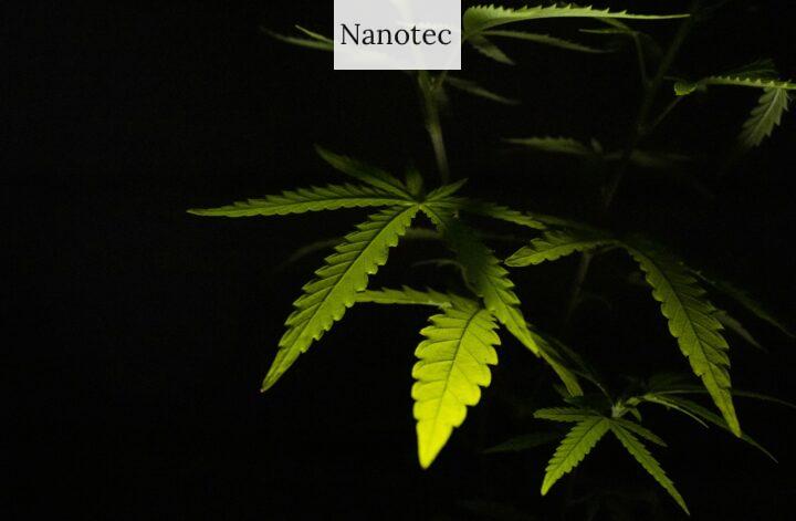 Los mejores ecommerce para comprar CBD en Portugal