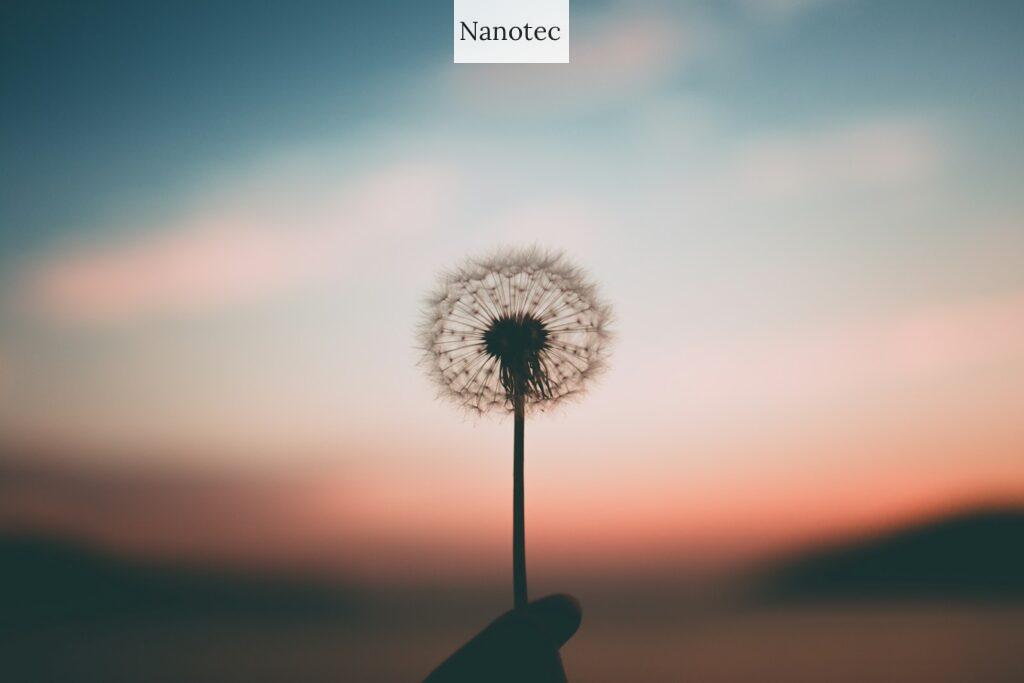 apps para relajarte y mejorar tu bienestar